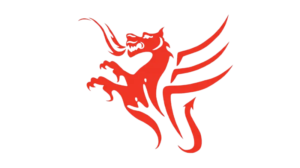 DragonFlix Store